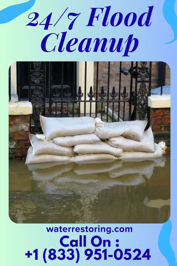 24/7 Flood Cleanup in Miner, MO
