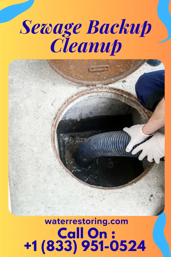 Sewage Backup Cleanup in Miner, MO