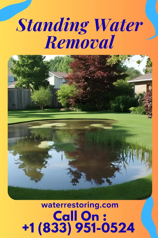 Standing Water Removal in Miner, MO
